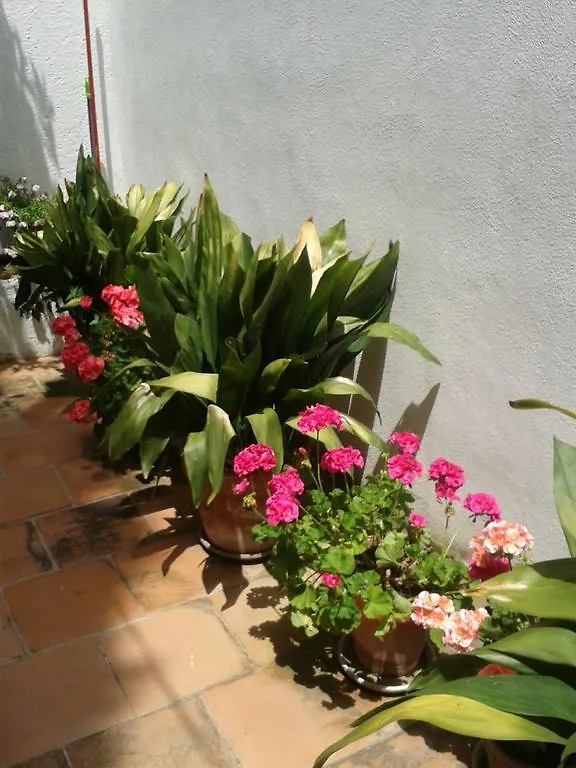 ** Konukevi La Casita Del Corralon Otel Granada İspanya